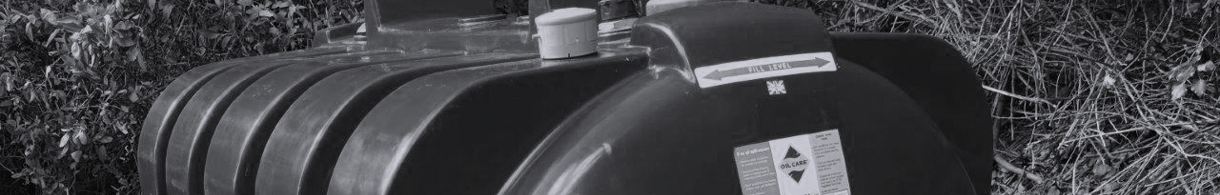 &nbsp;